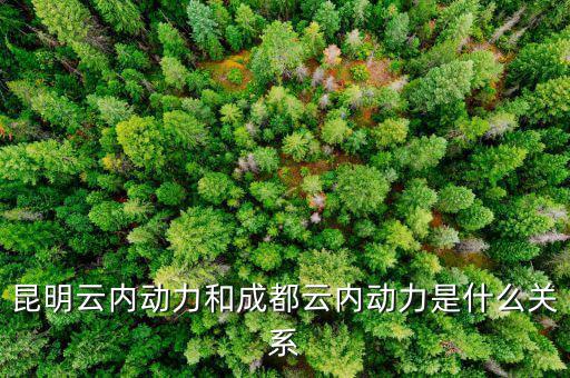 云南云內動力是什么性質，什么是云內發(fā)動機