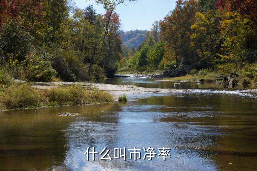 市凈率代表什么，市凈率代表什么