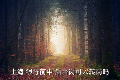 銀行前臺怎么轉(zhuǎn)后臺,銀行分為中央銀行和政策銀行、商業(yè)銀行等