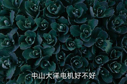中山大洋電機屬于什么行業(yè)，中山大洋電機好不好