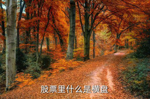 橫盤調(diào)整什么意思，股民們說的建倉橫盤是什么意思