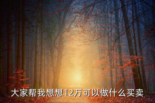 12萬(wàn)投資什么項(xiàng)目，投資十二萬(wàn)元能做什么呢