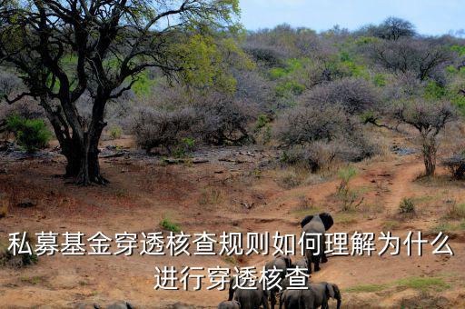 基金的穿透是什么意思，私募基金合格投資者的穿透核查怎么理解