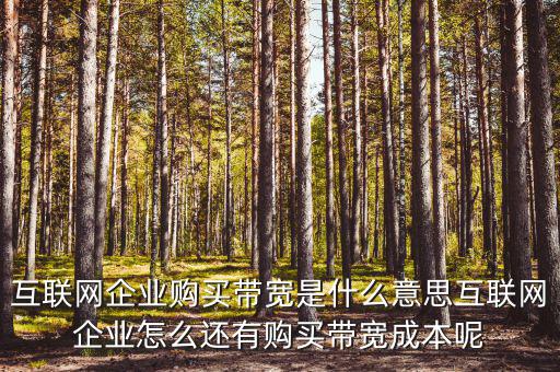 帶寬采購是什么意思，請問帶寬出口批發(fā)是什么出口的定義是 麻煩幫幫忙