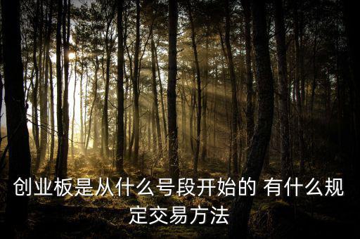 創(chuàng)業(yè)板什么開頭，創(chuàng)業(yè)板代碼什么數(shù)字開頭