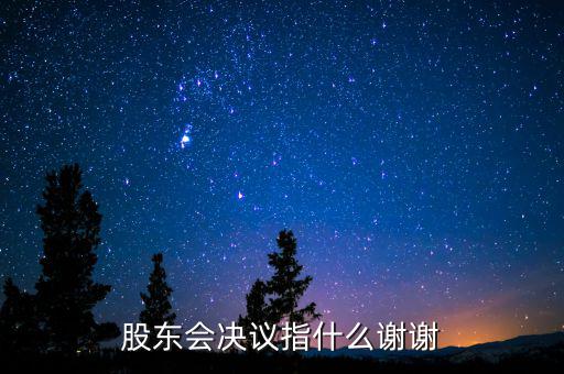 什么是股東會(huì)決議，有限責(zé)任公司決議叫股東會(huì)會(huì)決議那么國(guó)有企業(yè)決議應(yīng)該叫什