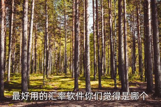 外匯用什么軟件，什么外匯交易軟件最好