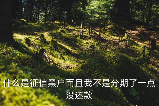 什么樣的征信算黑戶，什么是征信黑戶而且我不是分期了一點沒還款