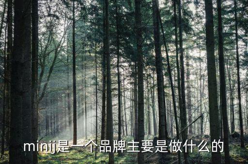 曹山石是干什么的，minij是一個品牌主要是做什么的