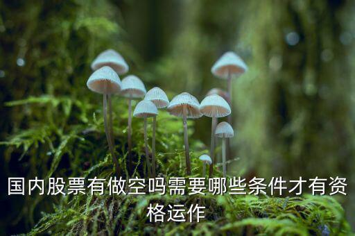 什么股票才可以做空，同花順里面有沒有可以做空的股票