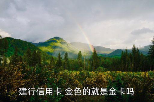 建設銀行信用卡什么卡種是金卡，我申請建設銀行的信用卡我申請的是金卡審核通過了上面寫的卡