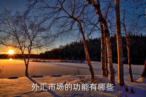 外匯有什么用，外匯市場的功能有哪些