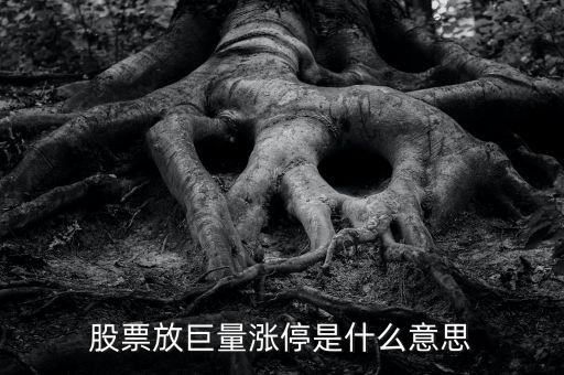放巨量漲停意味著什么，放巨量拉漲停板說明什么