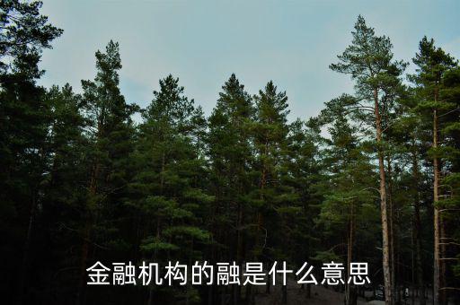 金融機(jī)構(gòu)的融是什么意思，融資中的融是什么意思
