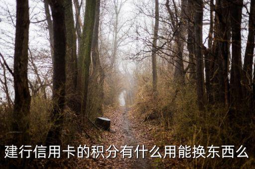建行信用卡積分能兌換什么，請問下建行信用卡1萬多積分可以換什么