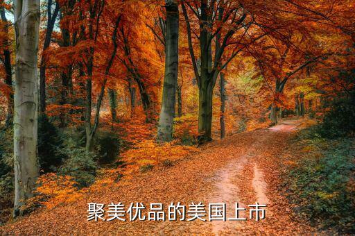 聚美優(yōu)品為什么要上市，根據(jù)聚美優(yōu)品案例談談什么是ipo