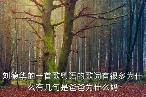 法為什么對(duì)is空襲，劉德華的一首歌粵語(yǔ)的歌詞有很多為什么有幾句是爸爸為什么媽
