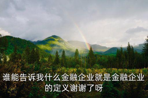 什么是金融企業(yè)，請(qǐng)問(wèn)什么是金融企業(yè)呢或金融企業(yè)具體做什么負(fù)責(zé)什么啊
