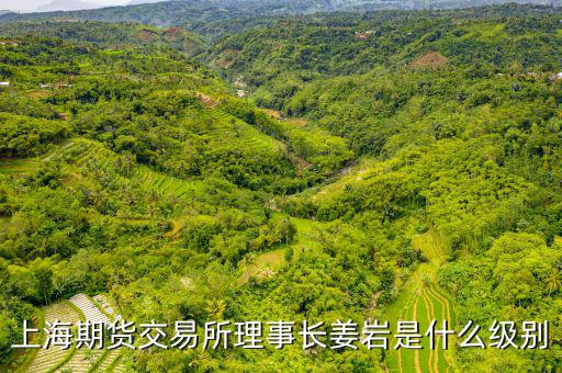 上交所理事長什么級別，上海期貨交易所理事長姜巖是什么級別