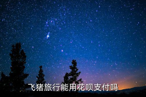 阿里巴巴abs什么時(shí)候推出的，交易貓可以用螞蟻花唄支付嗎