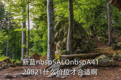 久遠(yuǎn)銀海什么價(jià)位才賣，新藍(lán)nbspSALOnbspA4120821什么價(jià)位才合適啊
