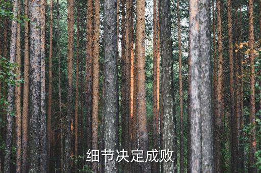 細節(jié)決定成敗