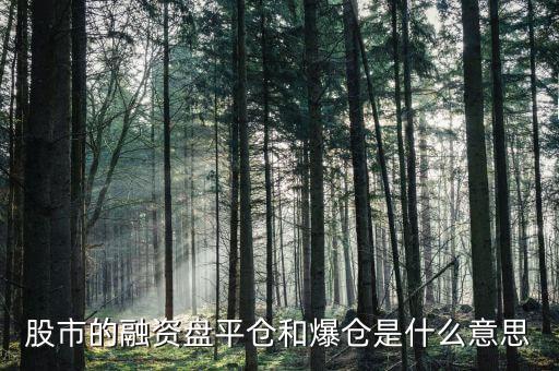 融券爆倉什么意思，股市的融資盤平倉和爆倉是什么意思