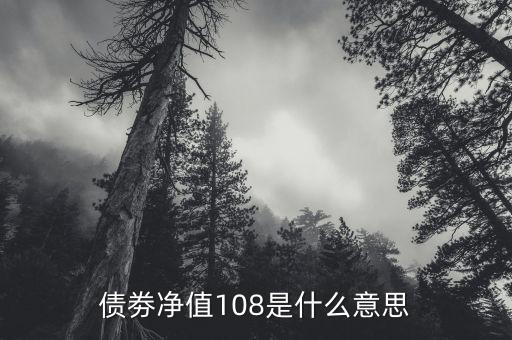 債券凈值是什么意思，債劵凈值108是什么意思