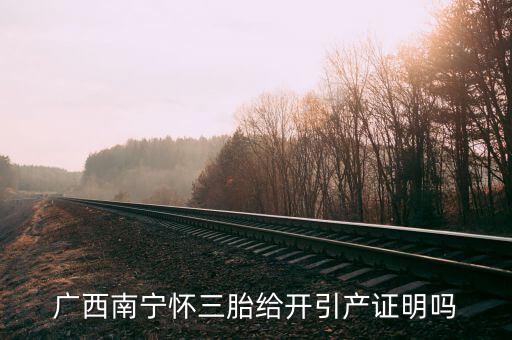 a廣西南寧生三胎有什么政策，2014年廣西人均收入2595元超生三胎罰款是多少錢(qián)