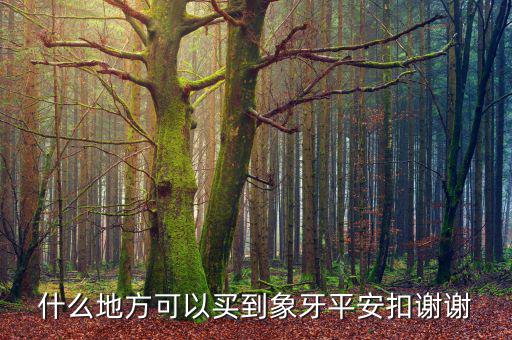 在日本什么地方買象牙制品，什么地方有批發(fā)象牙飾品的