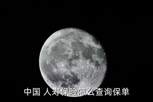 中國人壽怎么調查,中國人壽網上自助渠道點擊保單查詢
