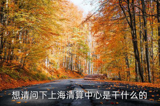 上海清算所做什么，想請問下上海清算中心是干什么的