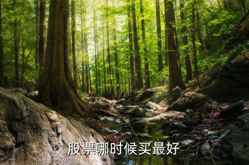 股票買什么段，股票哪時(shí)候買最好