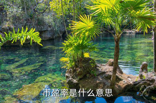 什么是市盈率，什么是市凈率和市盈率