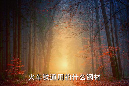 動車制造用的是什么鋼，火車鐵道用的什么鋼材
