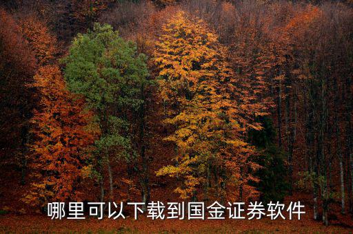 國(guó)金證券用的什么軟件，國(guó)金證券手機(jī)怎樣下載