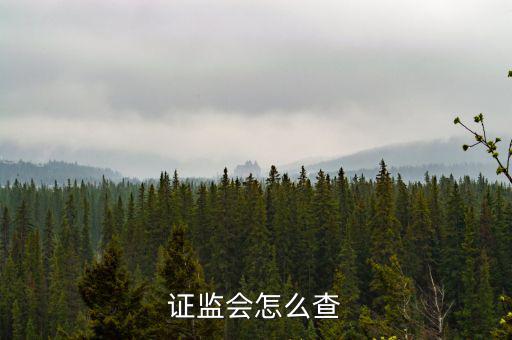 問詢函怎么寫,投訴率引關(guān)注北京npc金倉(cāng)信息技術(shù)有限公司