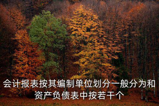 會計(jì)報表按其編制單位劃分一般分為和資產(chǎn)負(fù)債表中按若干個
