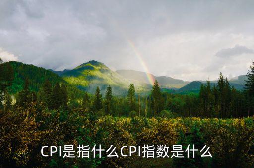 梅爾瓦指數(shù)是什么，MSCI 指數(shù)是什么