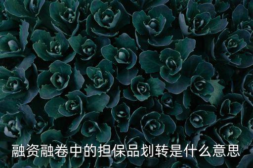 什么是劃轉(zhuǎn)，劃撥轉(zhuǎn)賬是什么意思