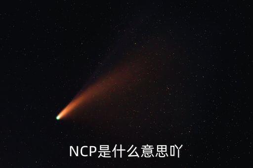 可比企業(yè)ncp是什么簡稱，NCP是什么意思吖