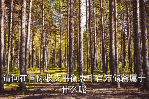官方儲備資產(chǎn)包括什么，官方儲備資產(chǎn)包括固定資產(chǎn)嗎