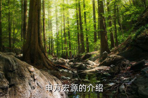 申萬宏源總經(jīng)理什么級(jí)，申萬宏源區(qū)分公司總經(jīng)理有行政級(jí)別嗎