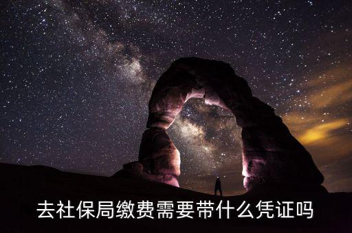 去社保局申報(bào)年度繳費(fèi)工資需要帶什么證件，去社保局繳費(fèi)需要帶什么憑證嗎
