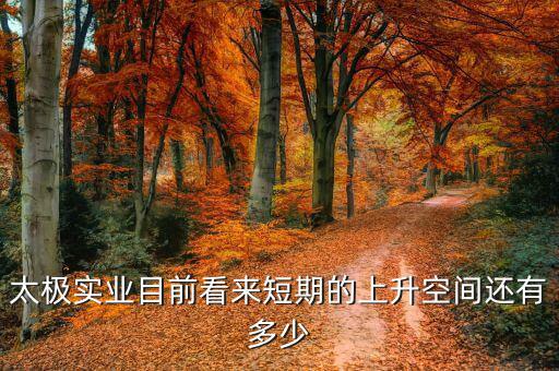 紫江沈臻現(xiàn)在干什么，紫江企業(yè)后市如何
