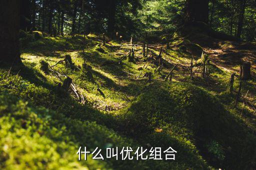 優(yōu)化重組是什么書(shū)，什么叫優(yōu)化組合