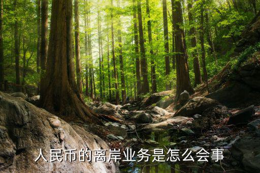 為什么會(huì)有離岸人民幣，人民幣的離岸業(yè)務(wù)是怎么會(huì)事