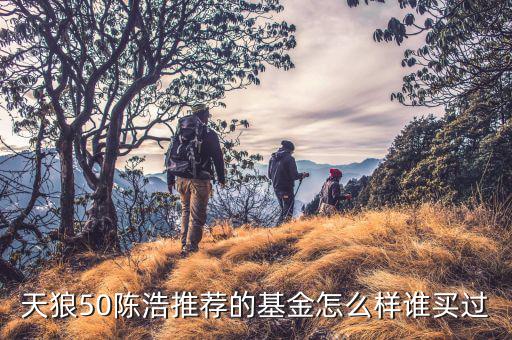 天狼50陳浩推薦的基金怎么樣誰(shuí)買過