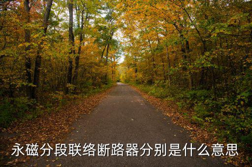 什么是永磁開關，什么是永磁