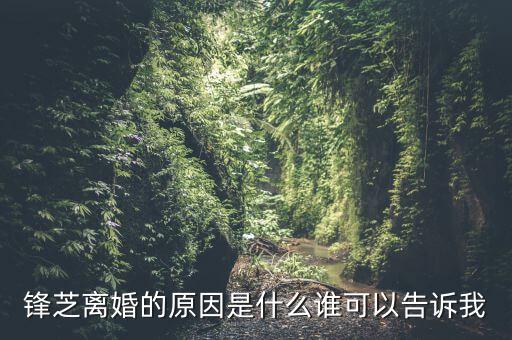 胡芝容為什么離婚，鋒芝戀離婚原因是為什么